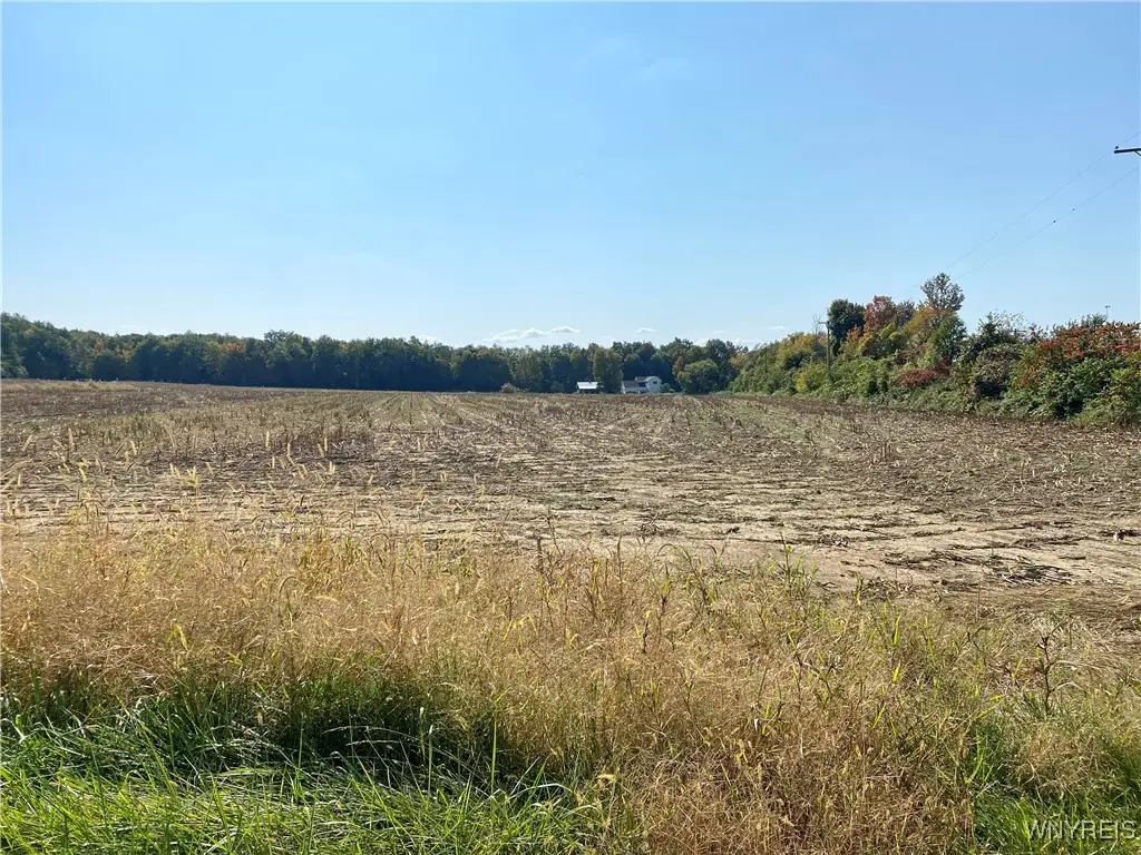 V/L Schintzius Road, Eden, NY 14057 - Image #1