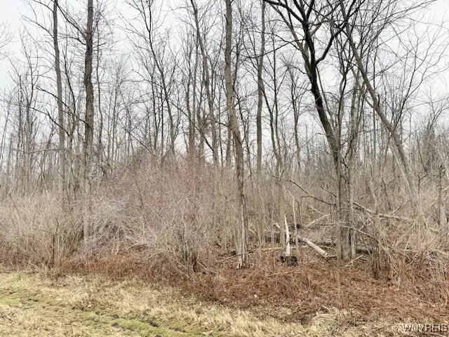 Vl Ridge Road W, Kent, NY 14477 - Image #3