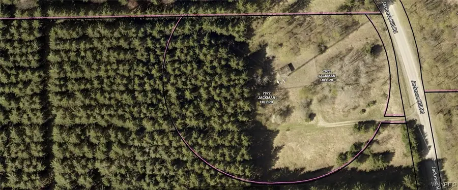 7972 Jackman Hill Road, Ellicottville, NY 14731 - Image #2