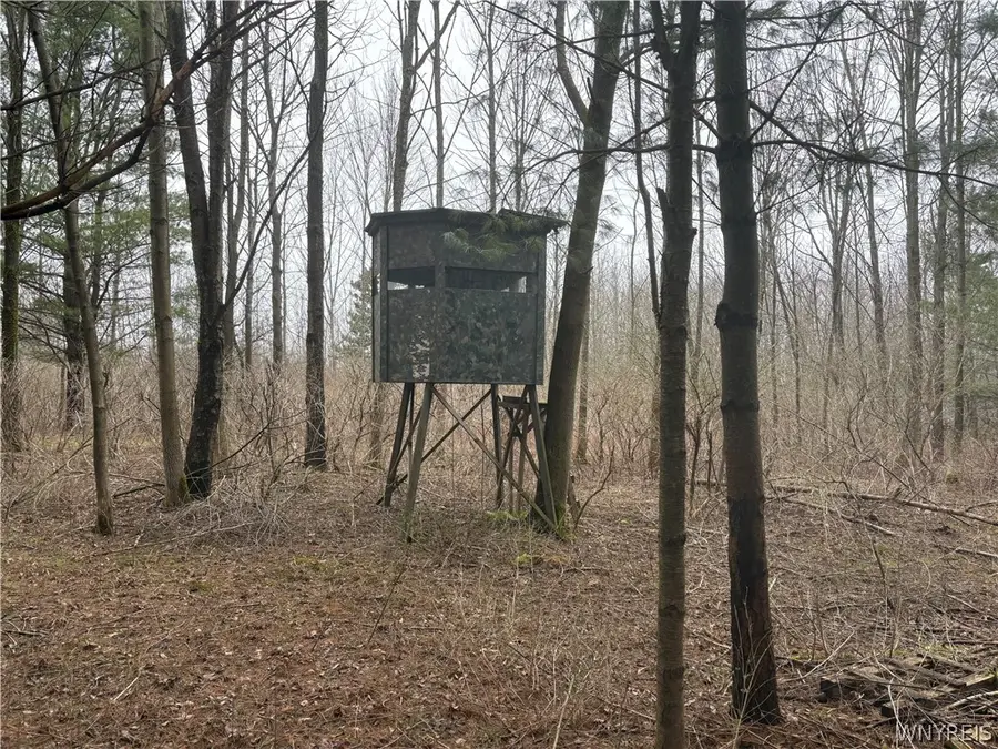 4406 Telegraph Road, Bliss, NY 14024 - #3