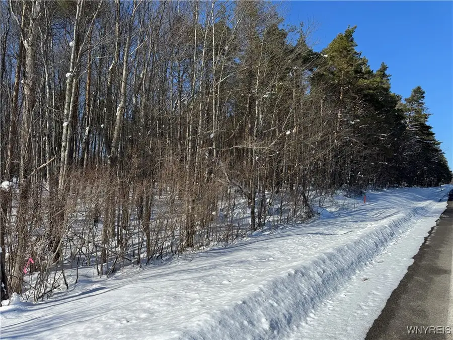 10934 Harlow Rd Road, Darien Center, NY 14040 - #3