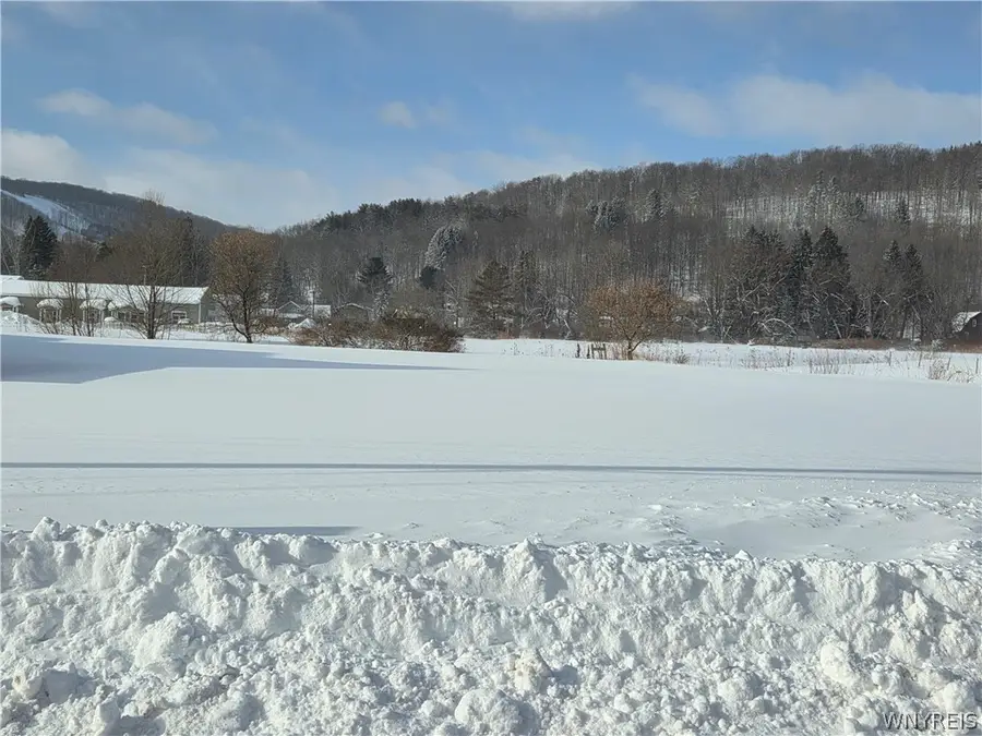 14 Fillmore Avenue, Ellicottville, NY 14731 - Image #2