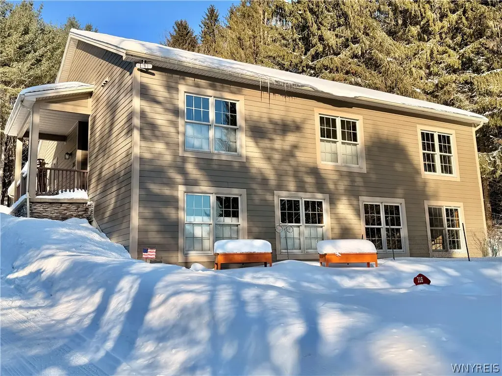 6434 Hencoop Hollow Road, Ellicottville, NY 14731 - Image #1