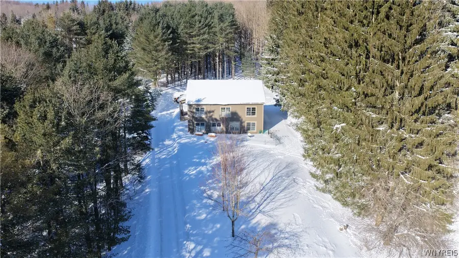 6434 Hencoop Hollow Road, Ellicottville, NY 14731 - Image #3