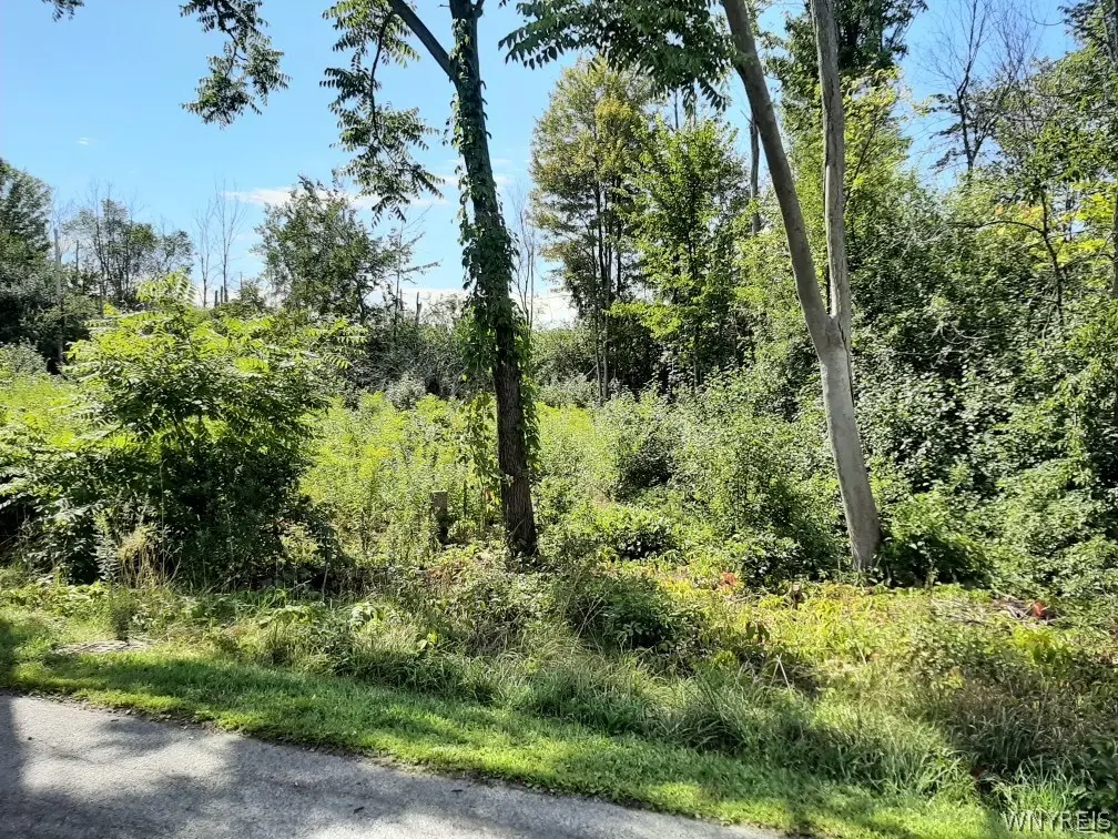 5962 Rosewood Terrace W, Hamburg, NY 14075 - #1