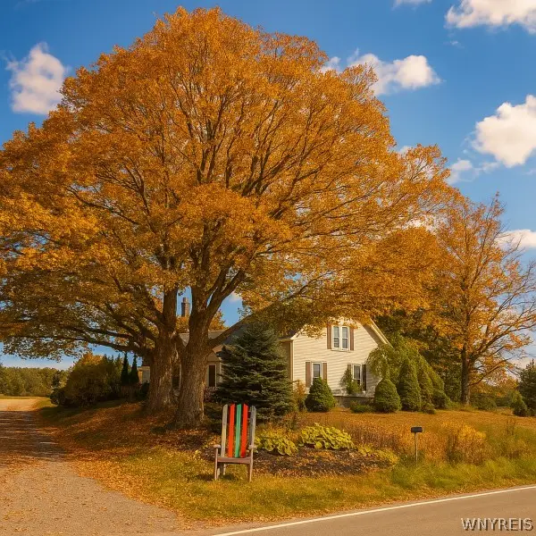 6178 Route 242 E, Ellicottville, NY 14731