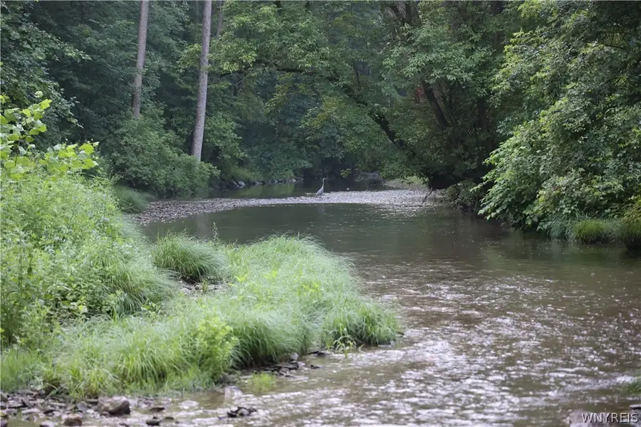 6671 Olean Road, South Wales, NY 14139 - #3