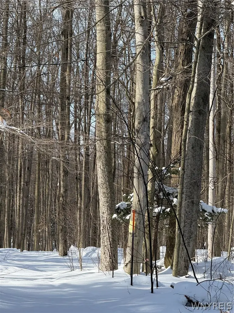 V/l Syler Road, Warsaw, NY 14569 - #2