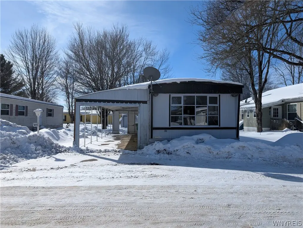 311 Southview, Arcade, NY 14009 - #1