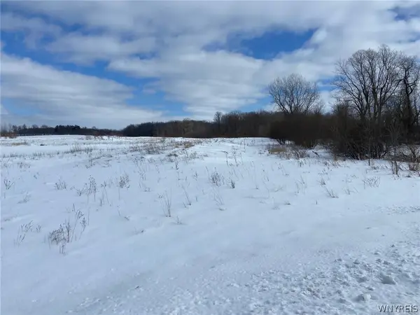 4663 Freeman Road, Middleport, NY 14103