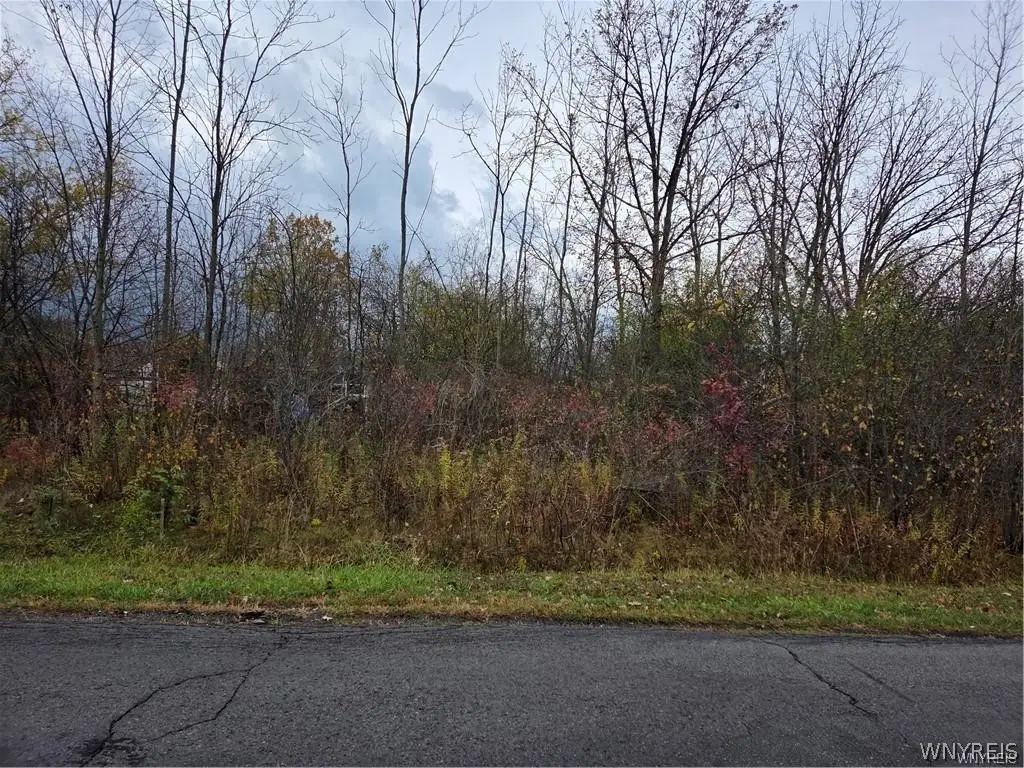 VL Fourth Avenue S, Niagara Falls, NY 14305 - #1