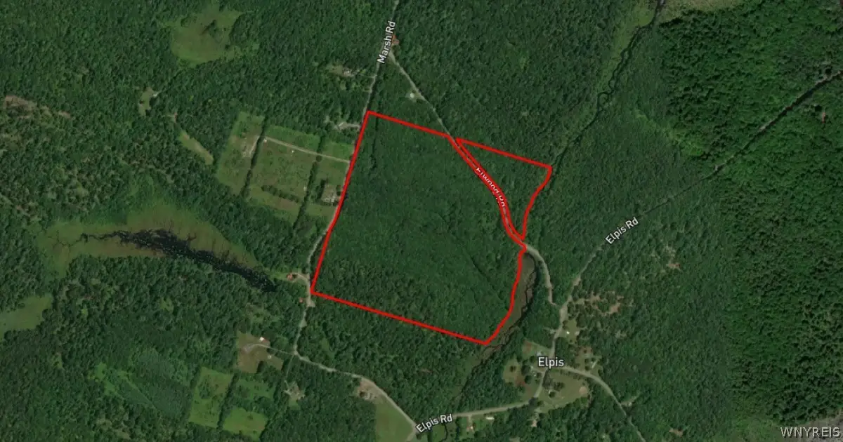 8811 Elwood Road, Cleveland, NY 13042 - #1