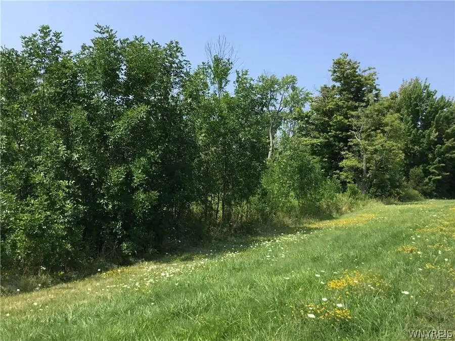 8996 Erie Road, Angola, NY 14006 - #2