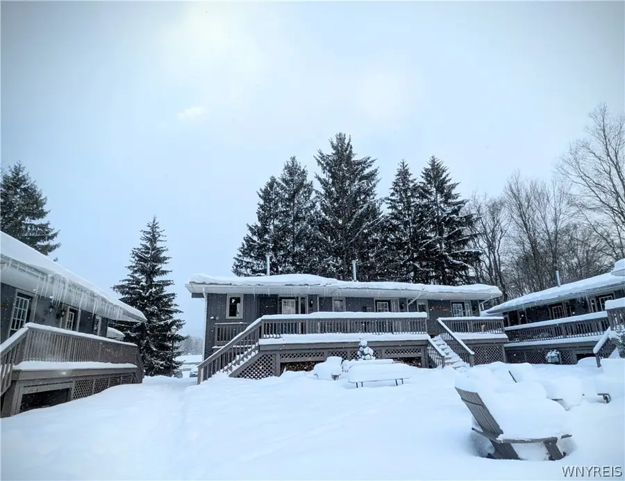 29 Holimont #29, Ellicottville, NY 14731 - #3