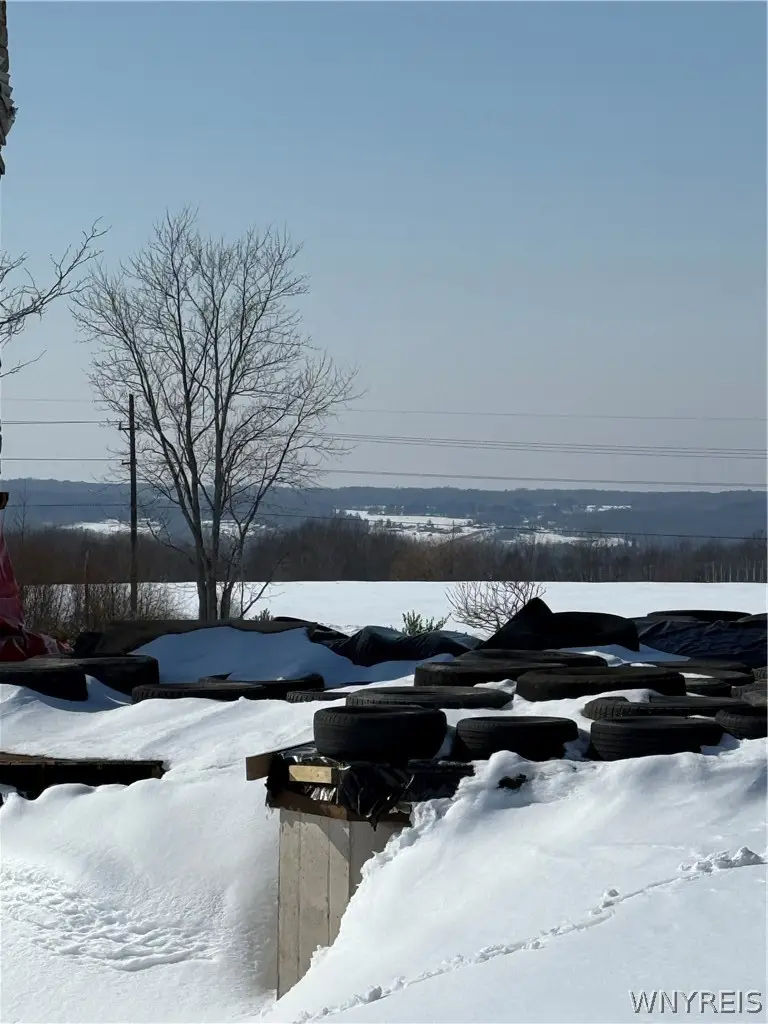 8191 Cole Road, Colden, NY 14033 - #3