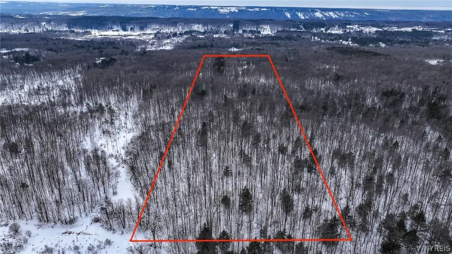 Bleistein Road, Colden, NY 14033 - #2