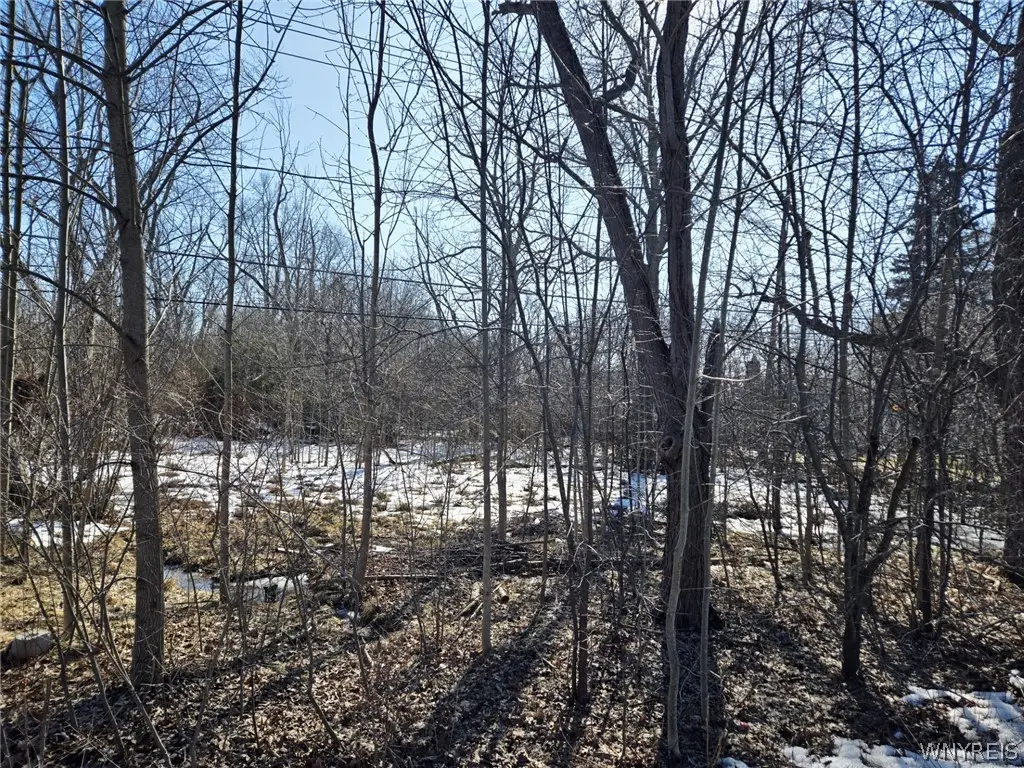 3312 Love Road, Grand Island, NY 14072 - #1