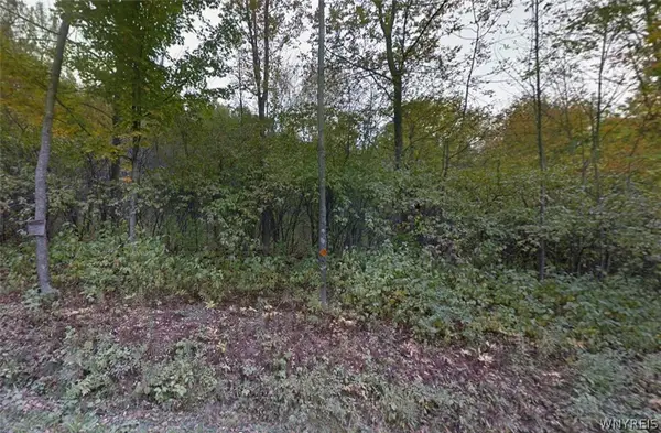 00 Buddle Road, Richfield Springs, NY 13439