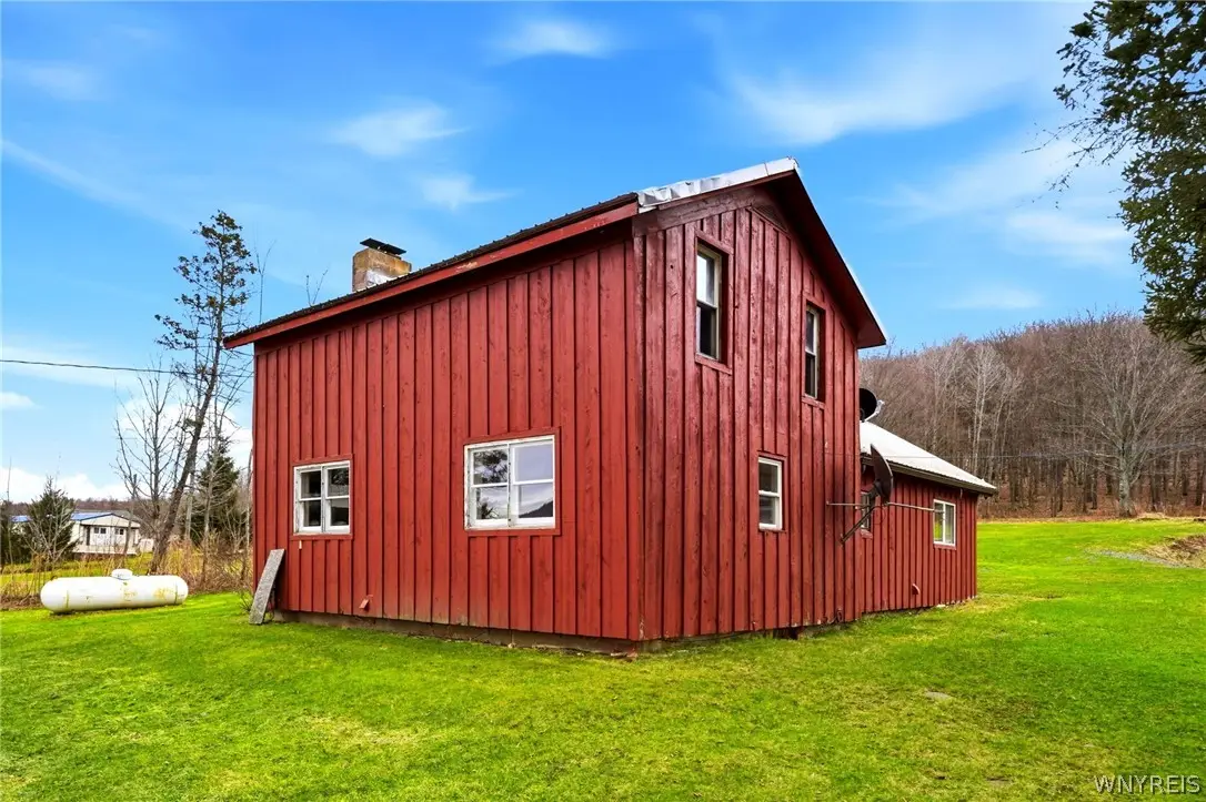 9925 Route 242, Little Valley, NY 14755 - #1