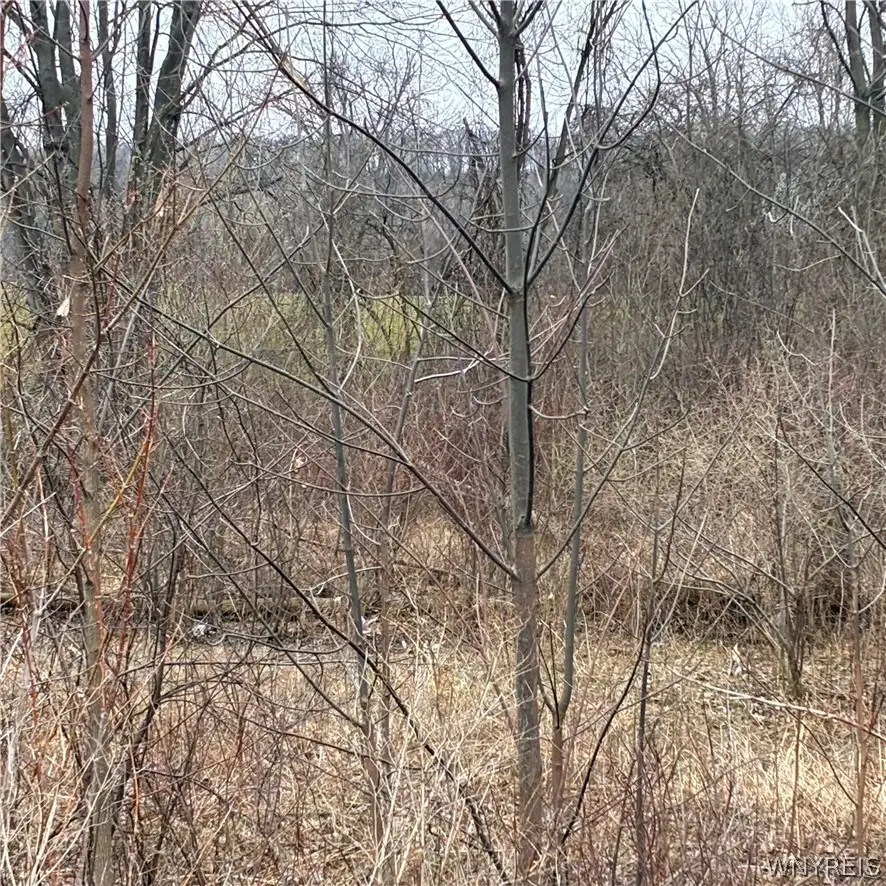 Ridge Road, Lewiston, NY 14092 - #2