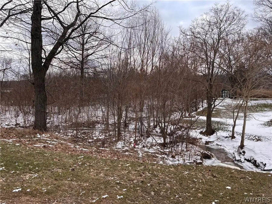 Ridge Road, Lewiston, NY 14092 - #3