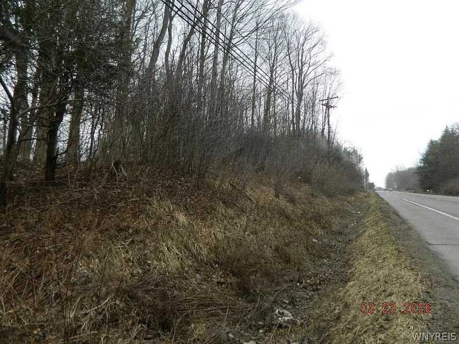 Olean Road, Holland, NY 14080 - #3