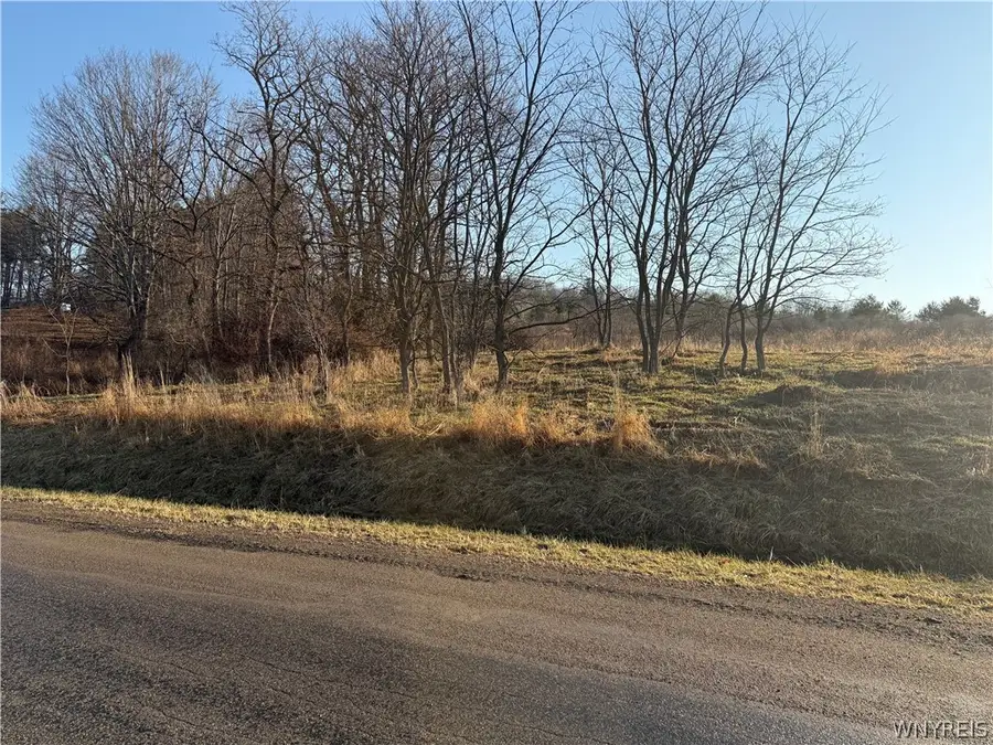 0 Brown, Almond, NY 14804 - #2