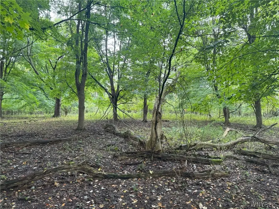 VL Angle Road, Orchard Park, NY 14127 - #2