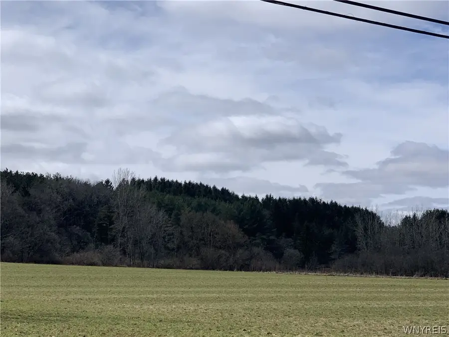 1390 Genesee Road, Arcade, NY 14009 - #3