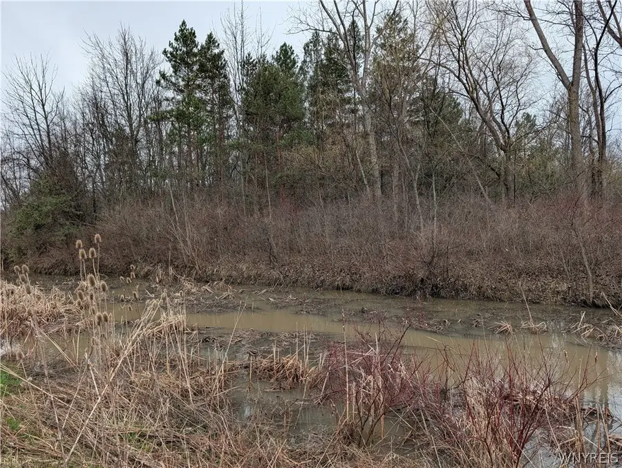 Niag Falls Boulevard S, Niagara Falls, NY 14304 - #3