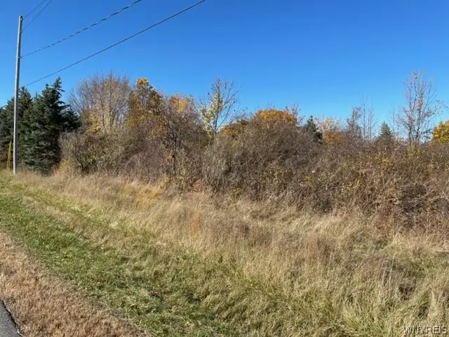 1537-1557 Braley Road N, Youngstown, NY 14174 - #3