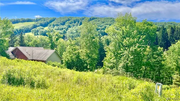 6843 Springs Road, Ellicottville, NY 14731