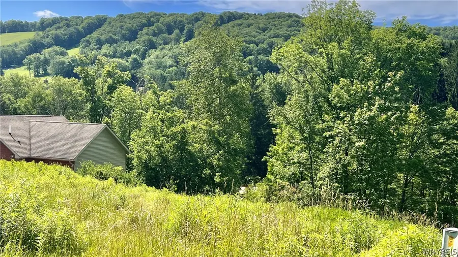 6843 Springs Road, Ellicottville, NY 14731 - #2