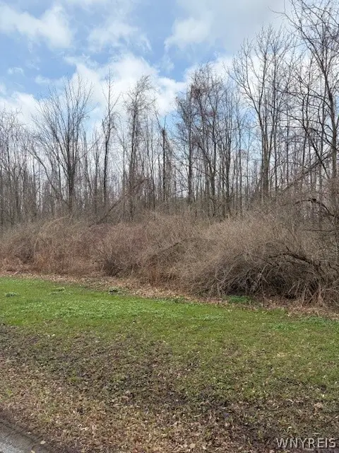 00 V/l Mcvean Road, Corfu, NY 14036 - #2