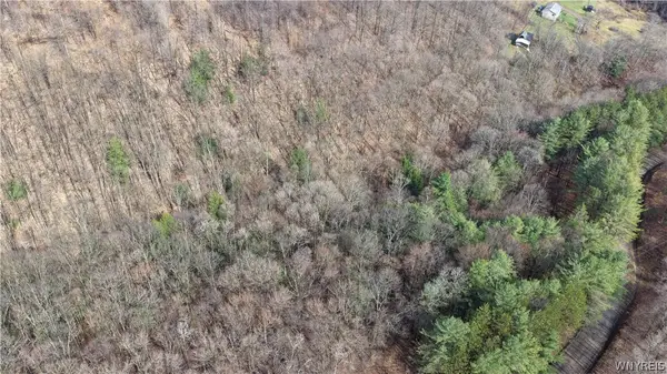 6000 Haines Hollow Road, Great Valley, NY 14741