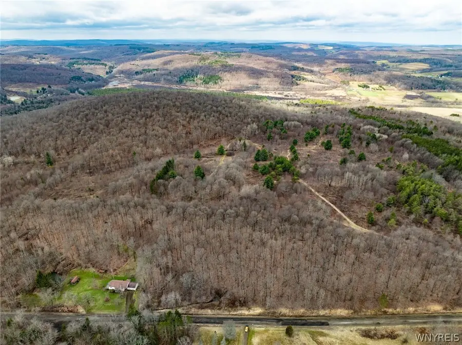 8154 Canada Hill Road, Machias, NY 14101 - #2