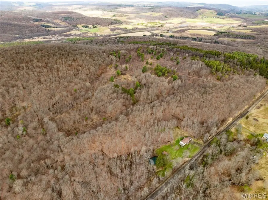 8154 Canada Hill Road, Machias, NY 14101 - #3