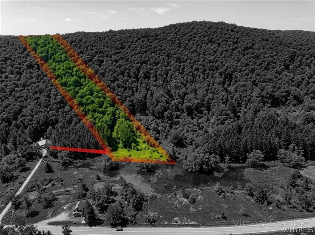 Maples Road, Ellicottville, NY 14731 - #1