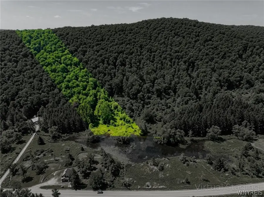 Maples Road, Ellicottville, NY 14731 - #2