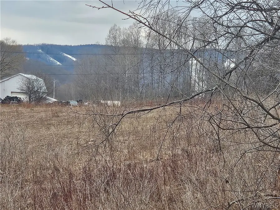 6048 Nys Rte 242 E, Ellicottville, NY 14731 - #2