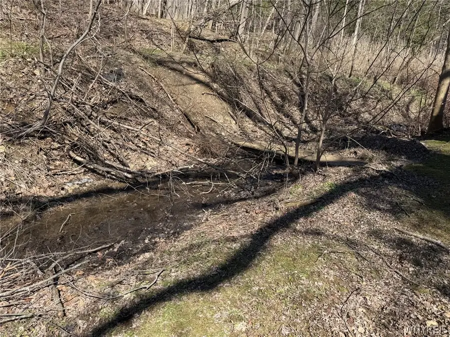 2040 Hemstreet Rd, East Aurora, NY 14052 - #2