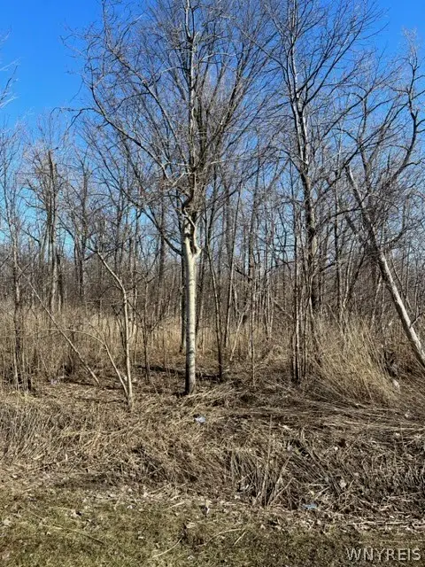 0 Wilson Avenue S, Lancaster, NY 14086