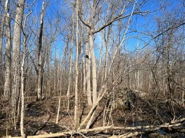 0 Wilson Avenue S, Lancaster, NY 14086 - #3