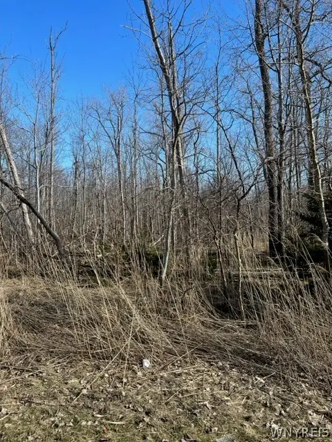 0 Wilson Avenue S, Lancaster, NY 14086 - #2