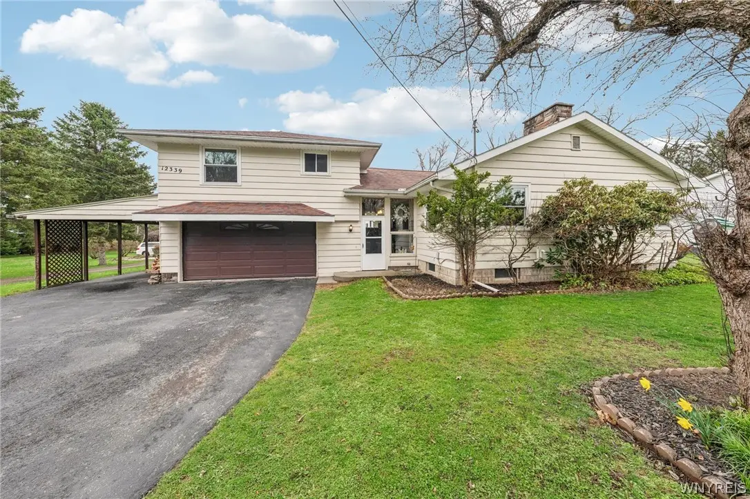 12339 West Avenue, Chaffee, NY 14030 - #1