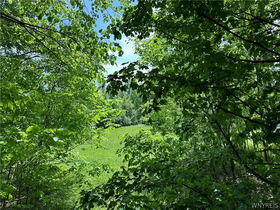 5867 Transit Road E, Depew, NY 14043 - #3