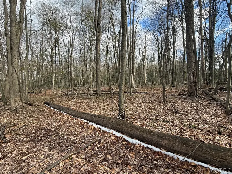 8314 Zimmerman Road, Boston, NY 14025 - #3