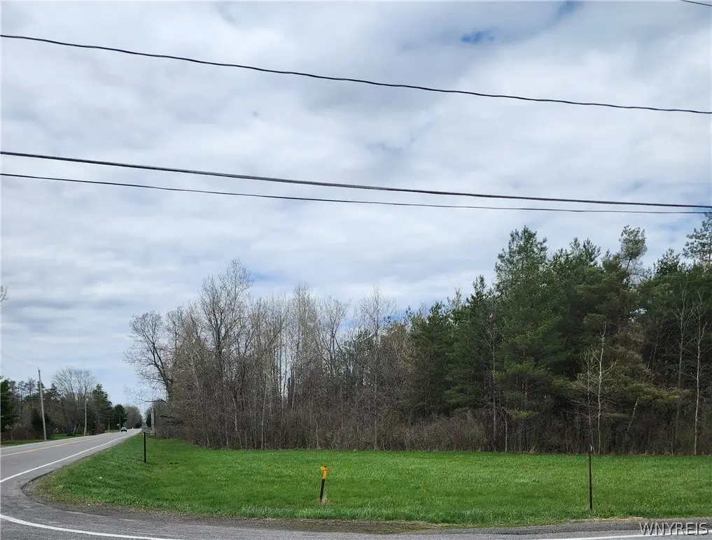 Gabbey Road, Corfu, NY 14036 - #1
