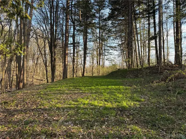 00 Pit Road, Java Center, NY 14082