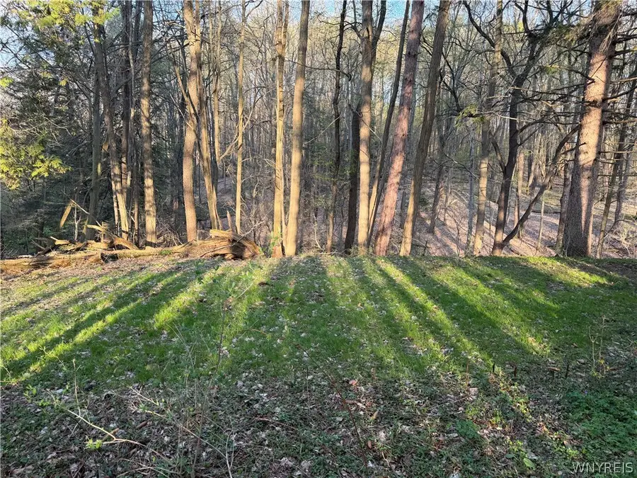 00 Pit Road, Java Center, NY 14082 - #2